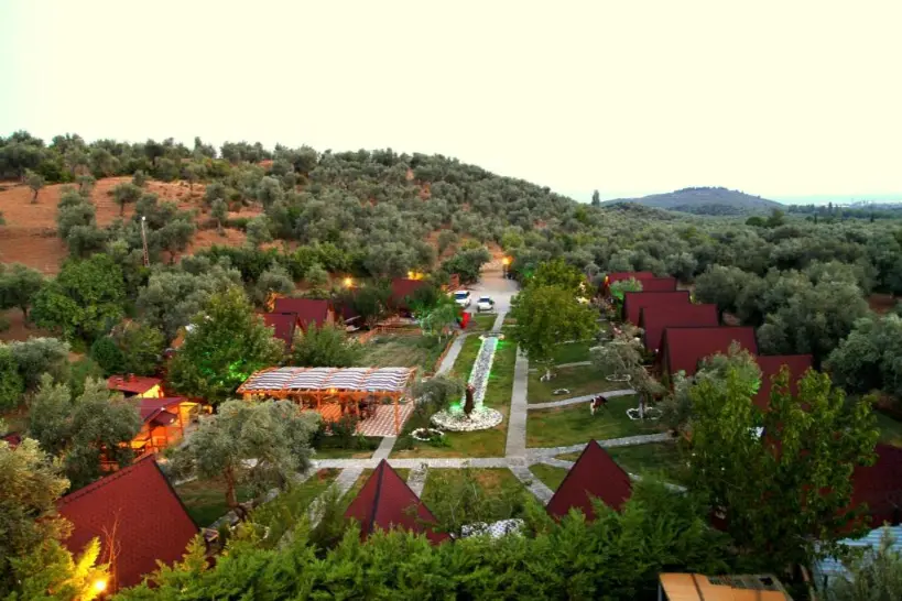  birdwatching in Turkey