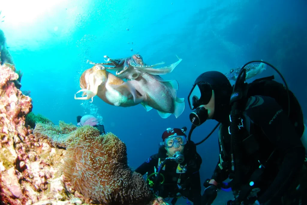 scuba diving in Turkey