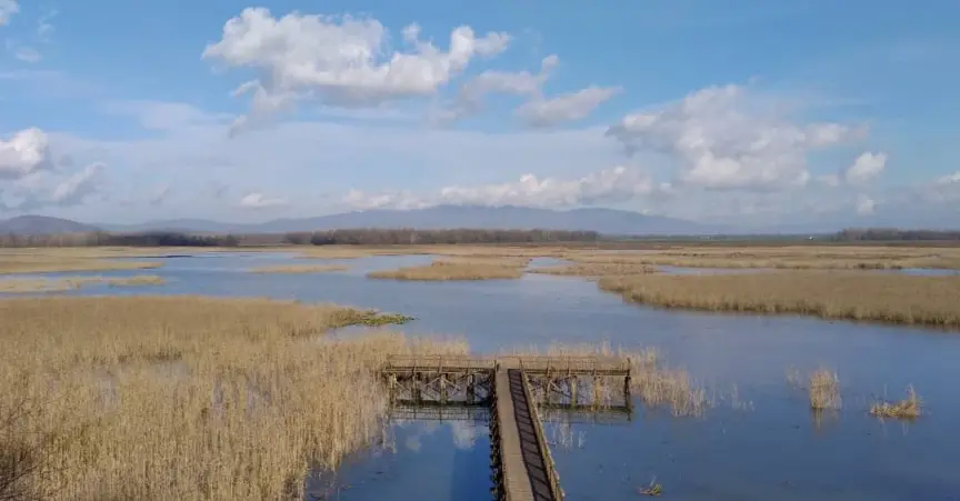 birdwatching in Turkey